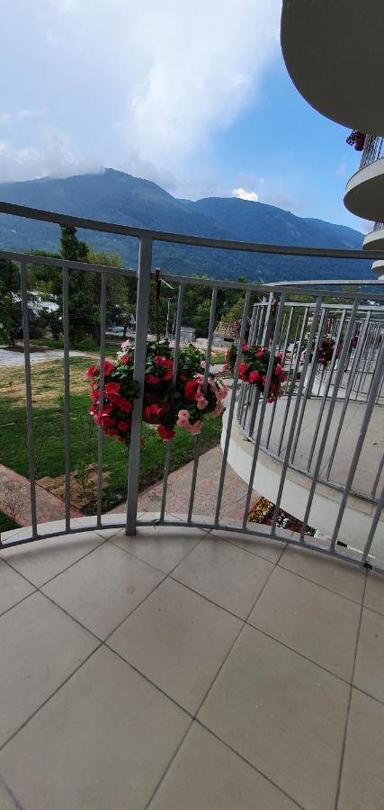 Evropa Otel Gagra Dış mekan fotoğraf