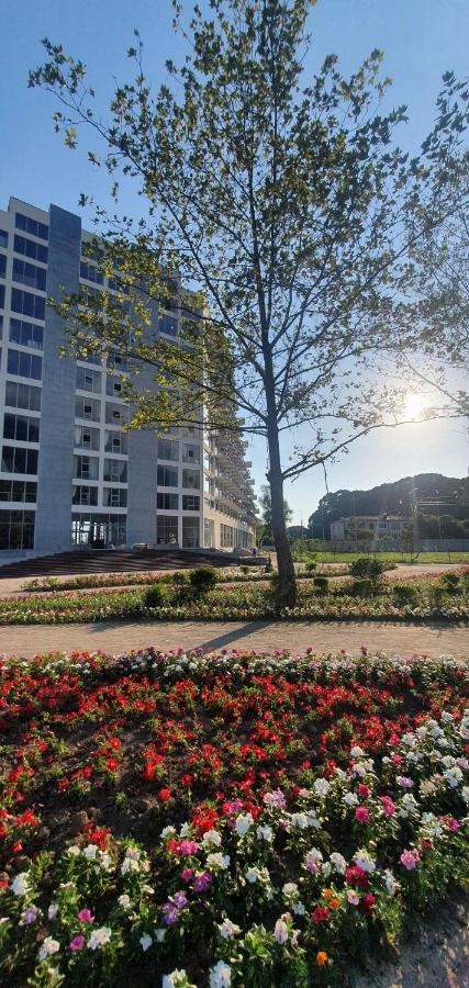 Evropa Otel Gagra Dış mekan fotoğraf